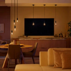 Philips Hue White E27 7W Filament ST72 550lm -Bestes Beleuchtungs Geschäft 10005174 2