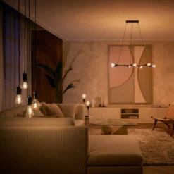 Philips Hue White E27 7W Filament ST72 550lm -Bestes Beleuchtungs Geschäft 10005174 3