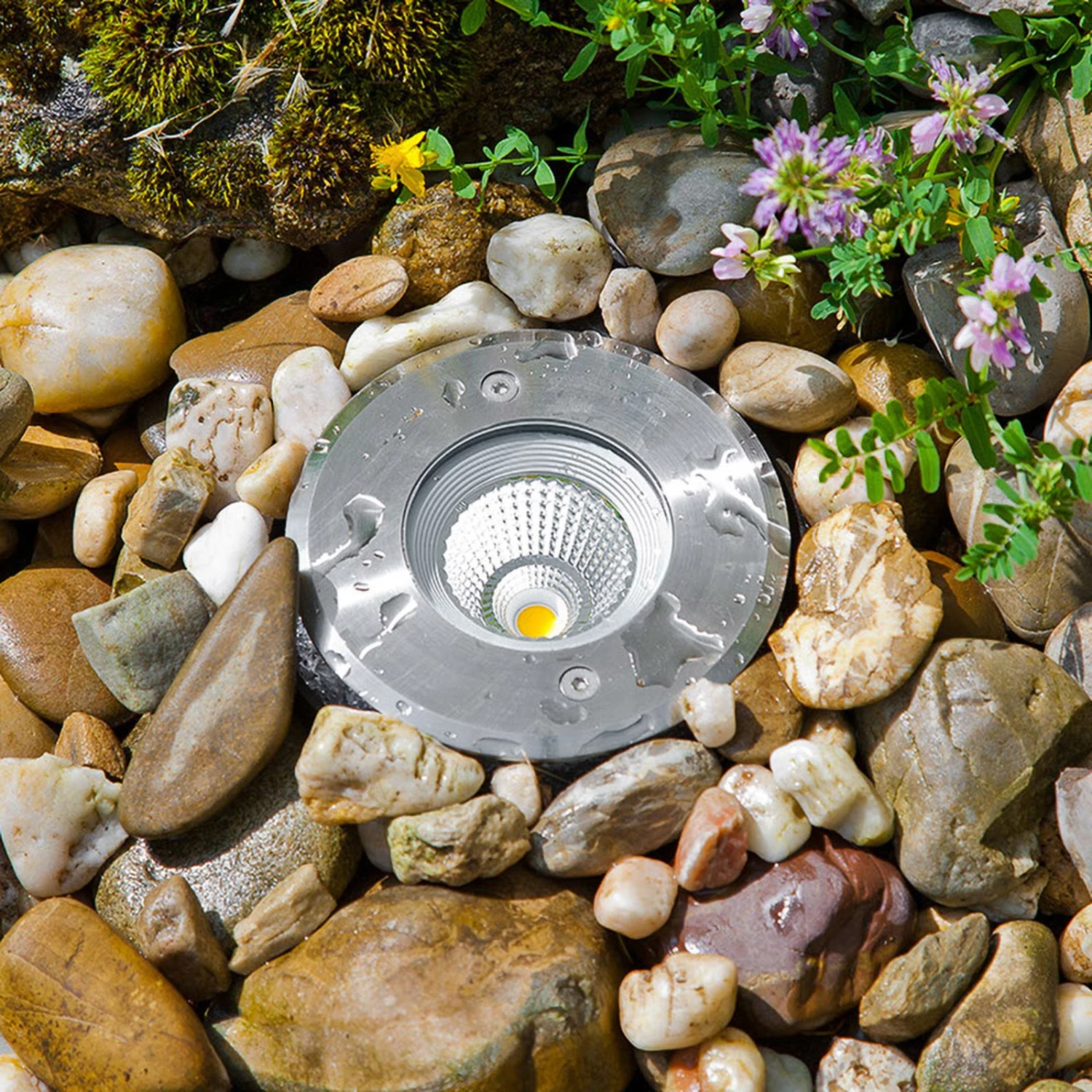 EVN Meerkat, Rund, 60°, Edelstahl, 6W, 3.000 K 3 EVN Meerkat, Rund, 60°, Edelstahl, 6W, 3.000 K – Bild 3