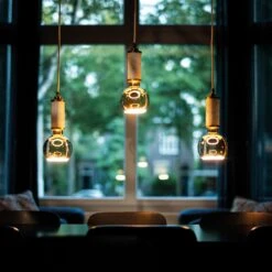 SEGULA LED-Floating-Globelampe G125 E27 4,5W Klar -Bestes Beleuchtungs Geschäft 10010475 6