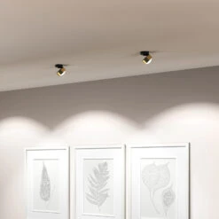 Puk! 80 Move LED-Spot Linse Matt Messing/schwarz -Bestes Beleuchtungs Geschäft 10010590 4