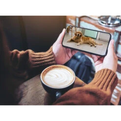 Hama WiFi-Kamera, Indoor, Sensor, 2-Wege-Audio -Bestes Beleuchtungs Geschäft 10012049 3