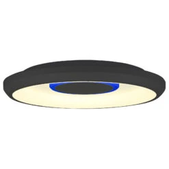 Lindby Lynden LED-Deckenlampe Ø 38cm Schwarz Smart