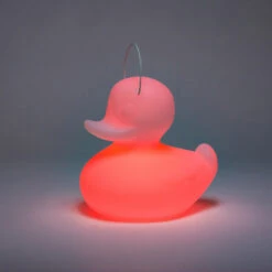 LED-Designleuchte DUCK-DUCK S Für Außen In Pink -Bestes Beleuchtungs Geschäft 10016418 3