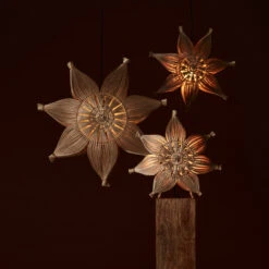 PR Home Agnes Dekostern Naturfaser Hängend Ø 58 Cm -Bestes Beleuchtungs Geschäft 10020198 2