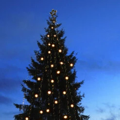 Erweiterungskabel Ring M. 5 Anschlüssen, System 24 -Bestes Beleuchtungs Geschäft 1522150 3