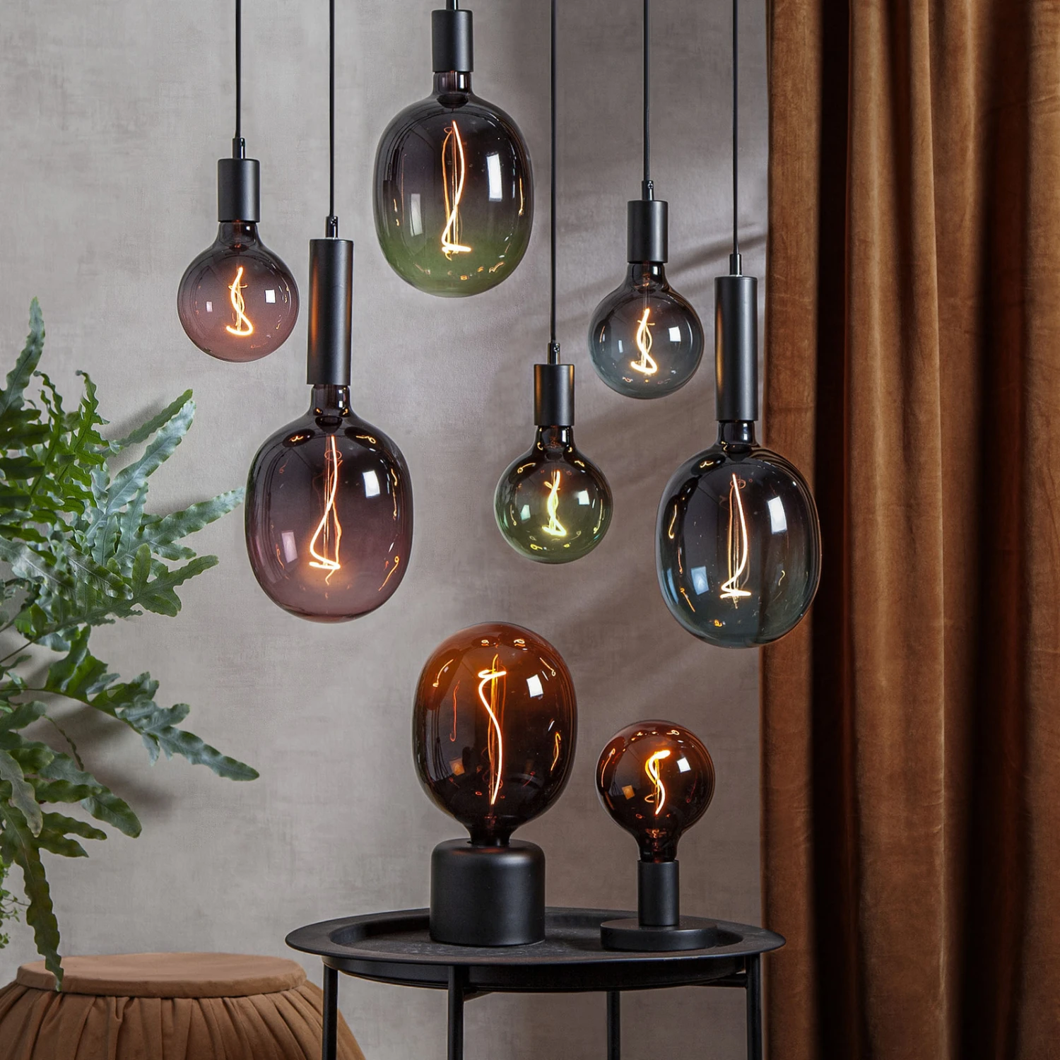 LED-Globe G125 E27 4W 2.000K Schwarz/pink Dimmbar 5 LED-Globe G125 E27 4W 2.000K Schwarz/pink Dimmbar – Bild 5