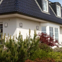 Sensor-Außenlampe Aqua Marco Mit Raster, Anthrazit -Bestes Beleuchtungs Geschäft 2011914 3