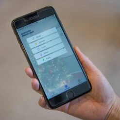 App-gesteuerter LED-Baummantel Innen 240fl -Bestes Beleuchtungs Geschäft 5524824 2