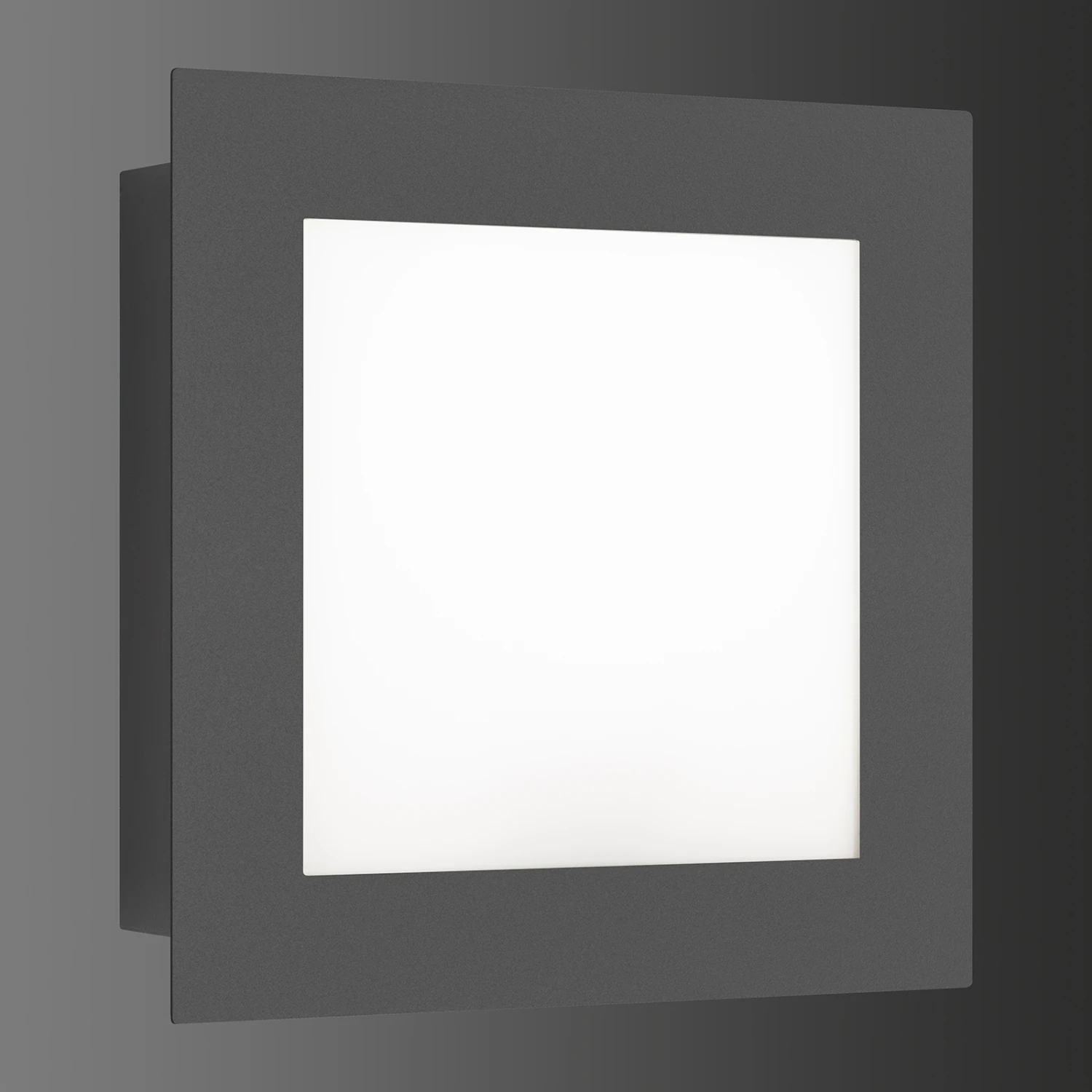 LED-Außenwandleuchte 3007LEDSEN Bewegungsmelder 4 LED-Außenwandleuchte 3007LEDSEN Bewegungsmelder – Bild 4