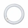 OSRAM G10q 32W 865 Lumilux T9C Leuchtstoffring
