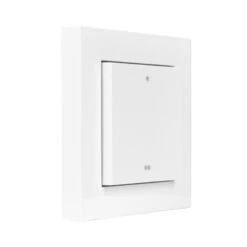 OPUS 55 Wandsender Mit Flächenwippe