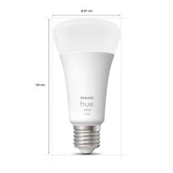 Philips Hue White E27 15,5 W A67 LED-Lampe 2.700K -Bestes Beleuchtungs Geschäft 7534263 2