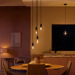 Philips Hue White Ambiance Edison Filament E27 7W -Bestes Beleuchtungs Geschäft 7534315 3