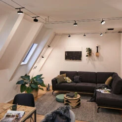 Paulmann Circle LED-Seilsystem 5fl. Schwarz Matt 17 Paulmann Circle LED-Seilsystem 5fl. Schwarz Matt -Bestes Beleuchtungs Geschäft 7602843 8