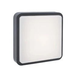 Paul Neuhaus Q-LENNY Außenwandleuchte, Anthrazit -Bestes Beleuchtungs Geschäft 7610605 2