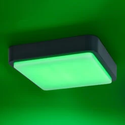 Paul Neuhaus Q-LENNY Außenwandleuchte, Anthrazit