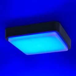 Paul Neuhaus Q-LENNY Außenwandleuchte, Anthrazit -Bestes Beleuchtungs Geschäft 7610605 3