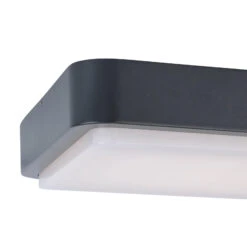 Paul Neuhaus Q-LENNY Außenwandleuchte, Anthrazit -Bestes Beleuchtungs Geschäft 7610605 4