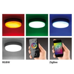 Paul Neuhaus Q-LENNY Außenwandleuchte, Anthrazit -Bestes Beleuchtungs Geschäft 7610605 6