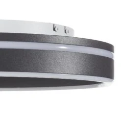 Paul Neuhaus Q-VITO LED-Deckenlampe 40cm Anthrazit -Bestes Beleuchtungs Geschäft 7610793 3