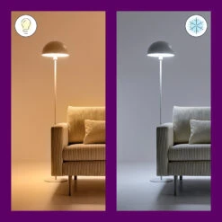 WiZ A67 LED-Lampe Wi-Fi E27 13W Matt RGB -Bestes Beleuchtungs Geschäft 9038180 6