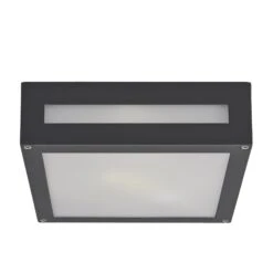 Lucande Eckige Außendeckenleuchte Nerea -Bestes Beleuchtungs Geschäft 9618030 2