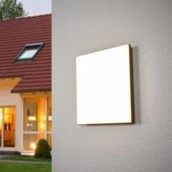 Lucande Sensorgesteuerte Außendeckenlampe Henni Mit LEDs -Bestes Beleuchtungs Geschäft 9619114 3