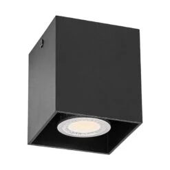 Carson - Aufbau-Deckenspot In Schwarz 10 Carson - Aufbau-Deckenspot In Schwarz -Bestes Beleuchtungs Geschäft 9620709 1